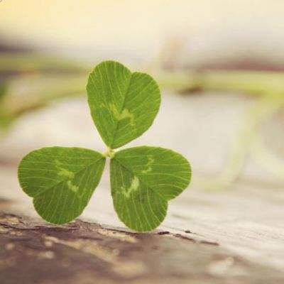 新宝体育官方登录入口